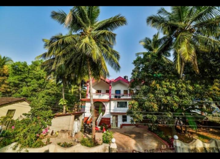 Chelsea Afonso Guest House Agonda Dış mekan fotoğraf